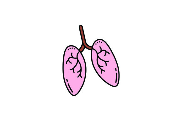Heart: Polished Graphics & Illustrations