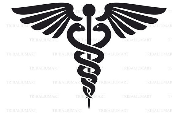 Medical Snake Icon: Graphics & Illustrations Review
